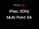 IPsec SDN/Multi Point SA